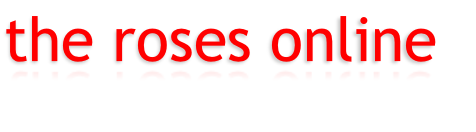 the roses online 
